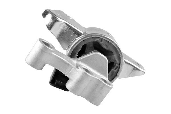 Variklio montavimas TEDGUM TED93543