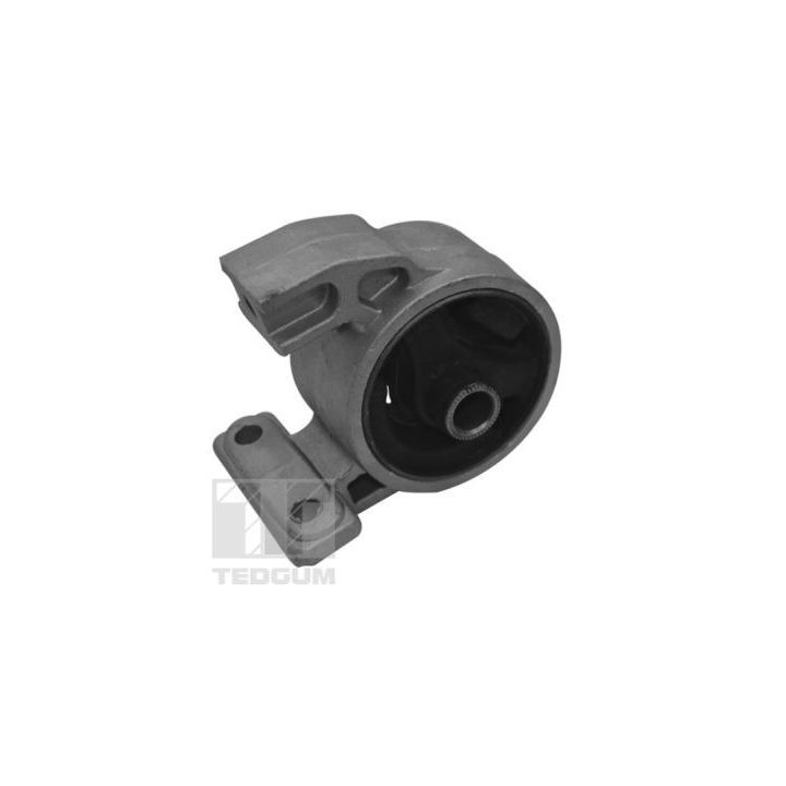 Variklio montavimas TEDGUM TED94977
