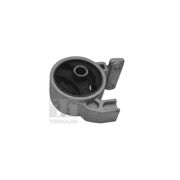 Variklio montavimas TEDGUM TED94977