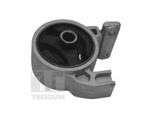Variklio montavimas TEDGUM TED94977