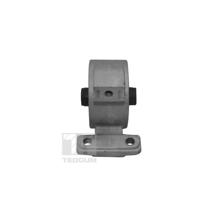 Variklio montavimas TEDGUM TED94977