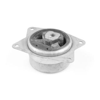 Variklio montavimas TEDGUM TED95962