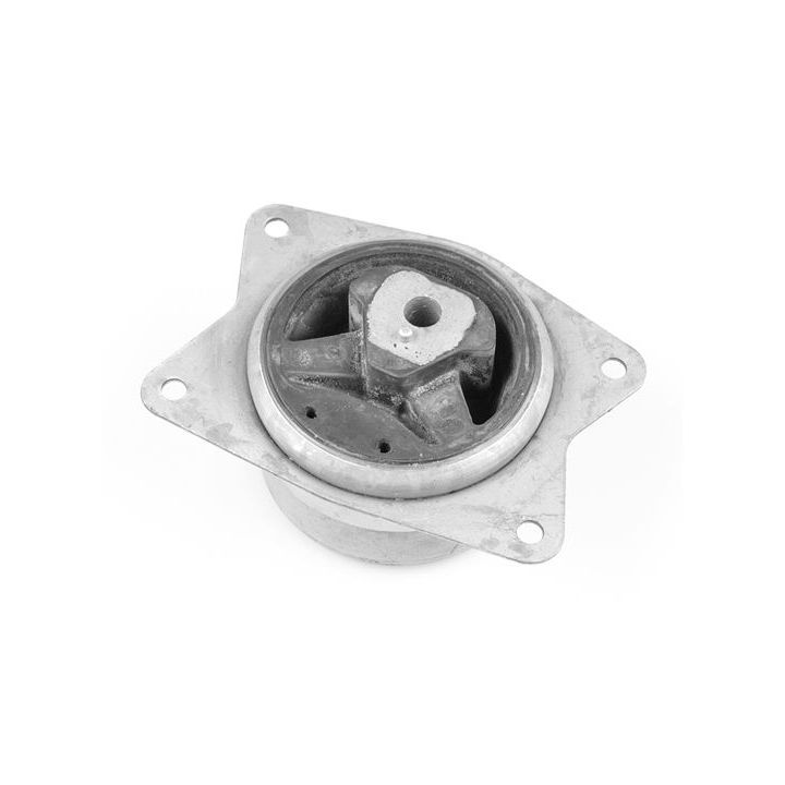 Variklio montavimas TEDGUM TED95962