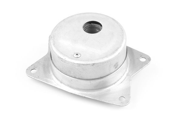 Variklio montavimas TEDGUM TED95962