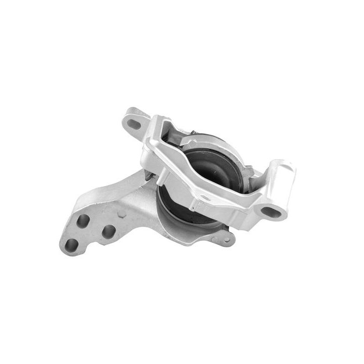 Variklio montavimas TEDGUM TED96317