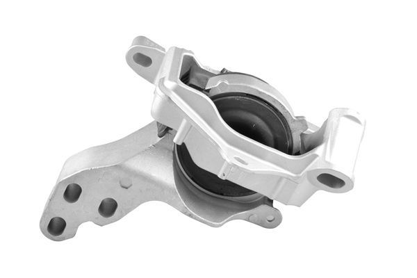 Variklio montavimas TEDGUM TED96317