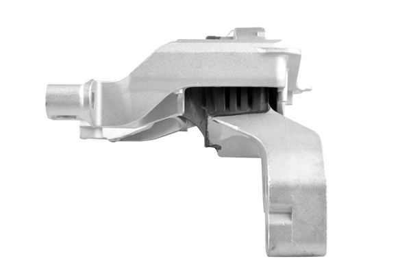 Variklio montavimas TEDGUM TED96317