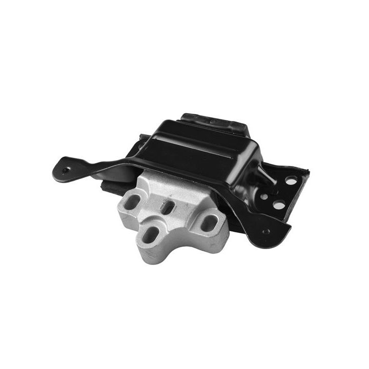 Variklio montavimas TEDGUM TED97485