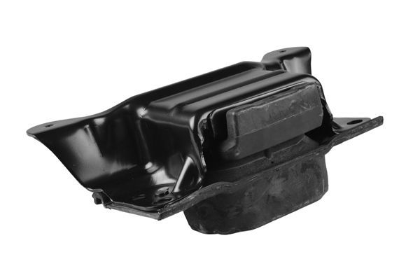 Variklio montavimas TEDGUM TED97485