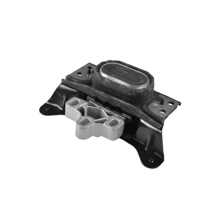 Variklio montavimas TEDGUM TED97485