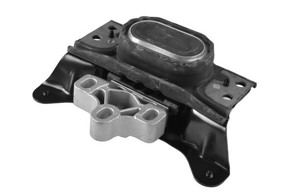 Variklio montavimas TEDGUM TED97485