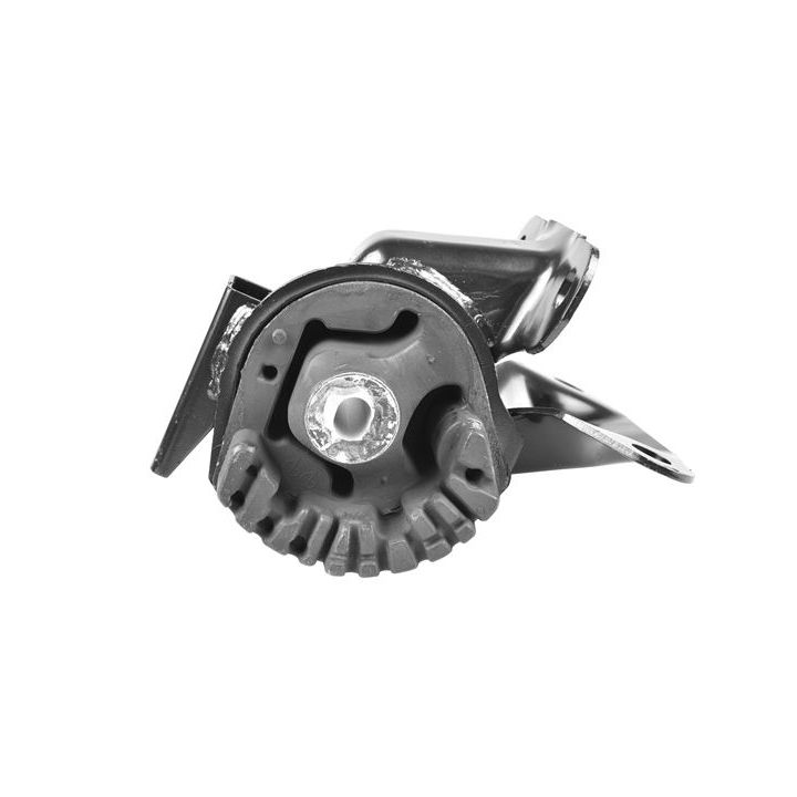 Variklio montavimas TEDGUM TED97748