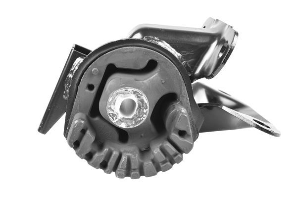 Variklio montavimas TEDGUM TED97748