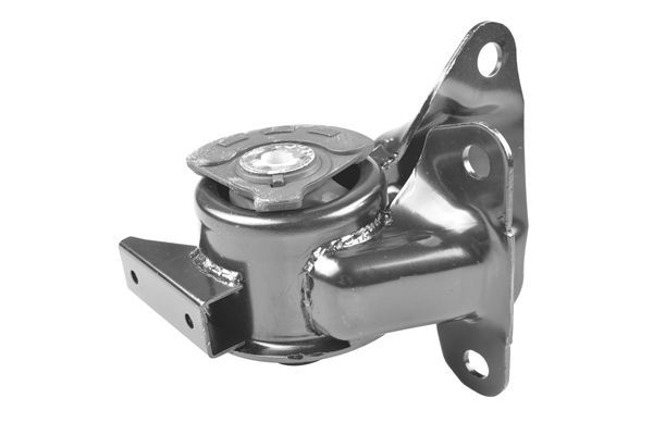 Variklio montavimas TEDGUM TED97748