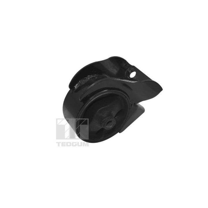 Variklio montavimas TEDGUM TED98297