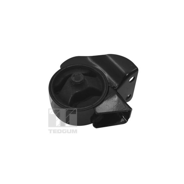 Variklio montavimas TEDGUM TED98297