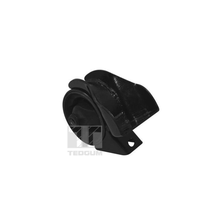 Variklio montavimas TEDGUM TED98297