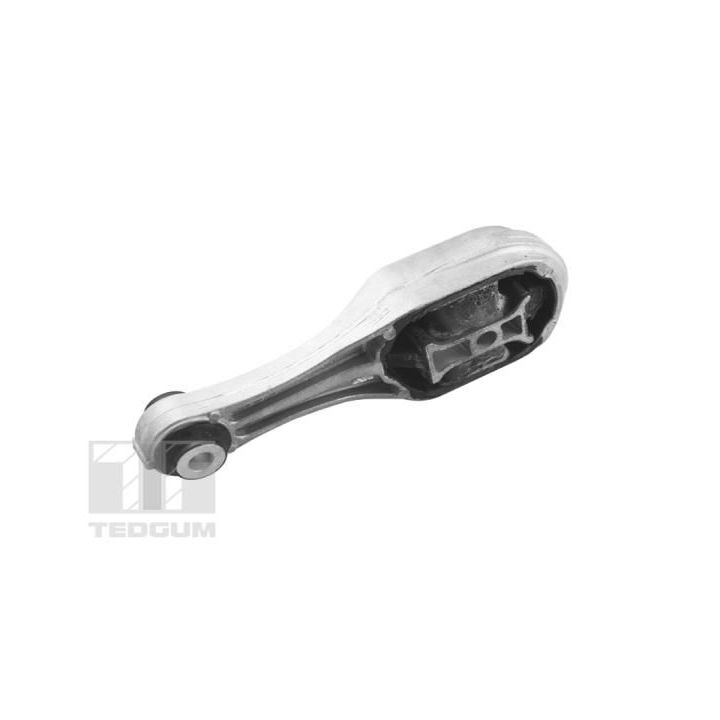 Variklio montavimas TEDGUM TED98422