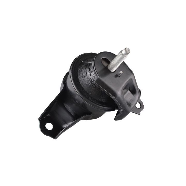 Variklio montavimas TEDGUM TED98654