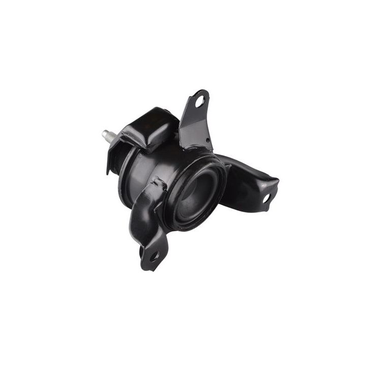 Variklio montavimas TEDGUM TED98654