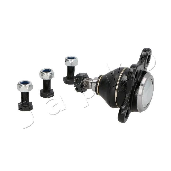 Šarnyras / girgždukas JAPKO 73917