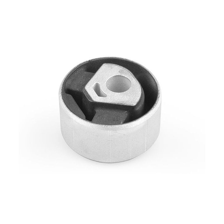 Variklio montavimas TEDGUM TED99361