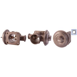 ERG vožtuvas DRI 717710064