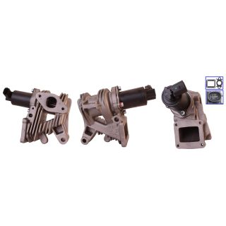 ERG vožtuvas DRI 717720048