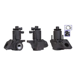 ERG vožtuvas DRI 717720199