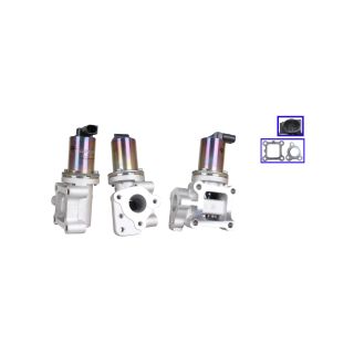 ERG vožtuvas DRI 717720384