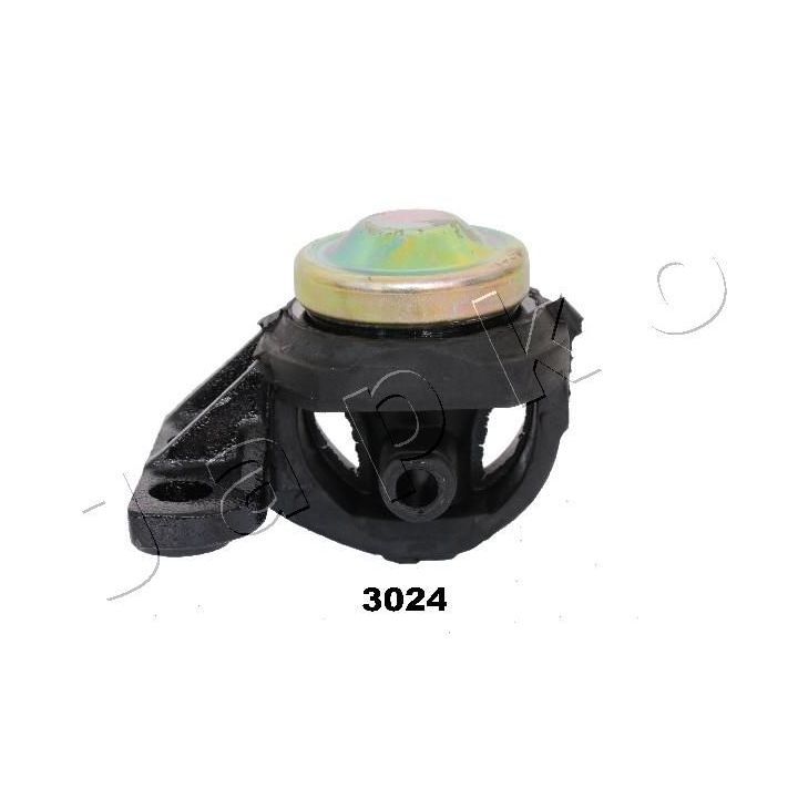 Variklio montavimas JAPKO GOJ3024