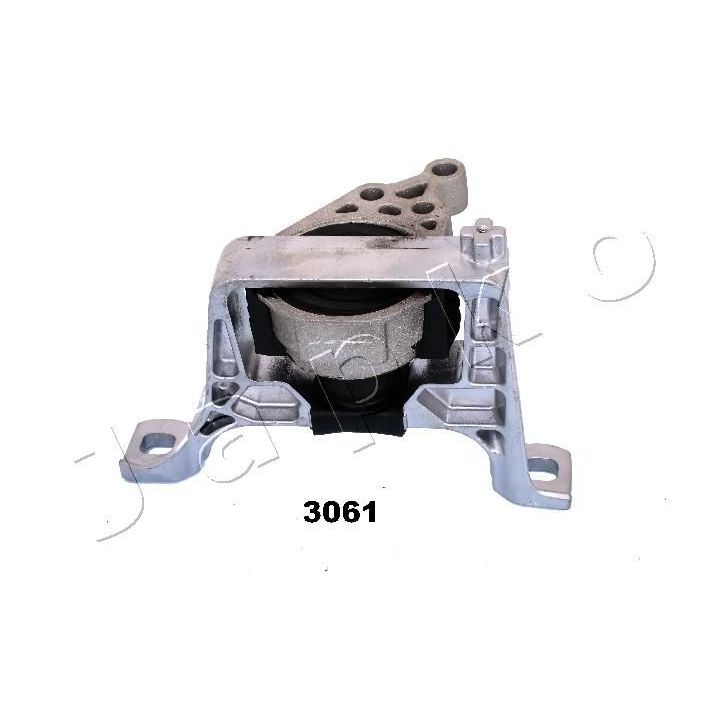 Variklio montavimas JAPKO GOJ3061