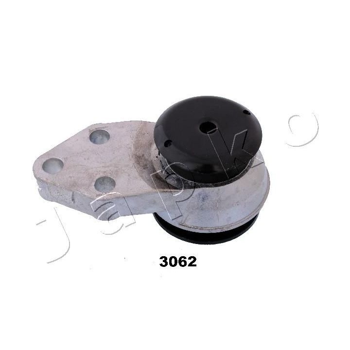 Variklio montavimas JAPKO GOJ3062