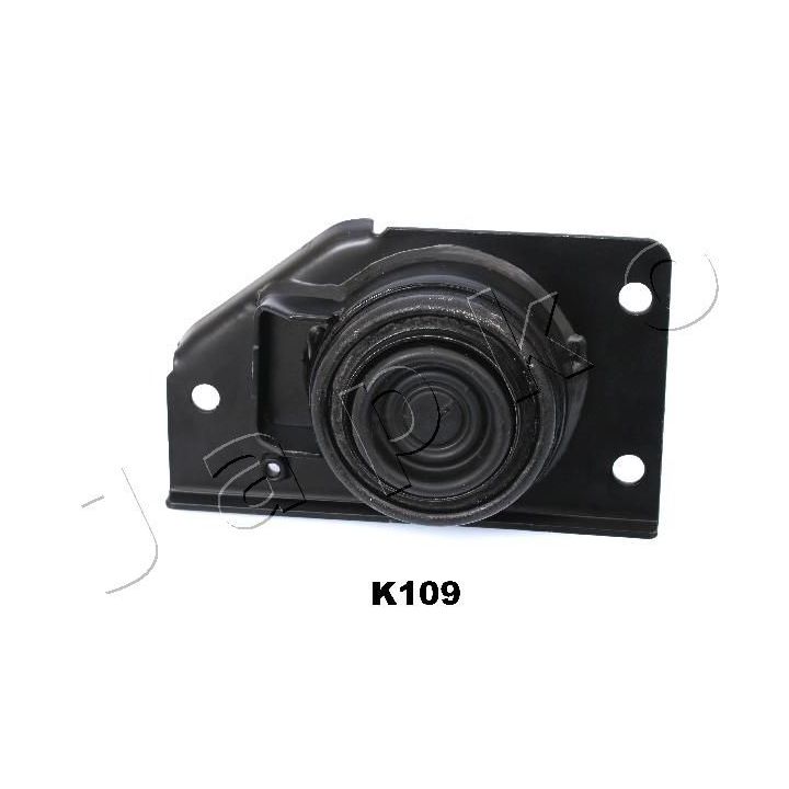 Variklio montavimas JAPKO GOJK109