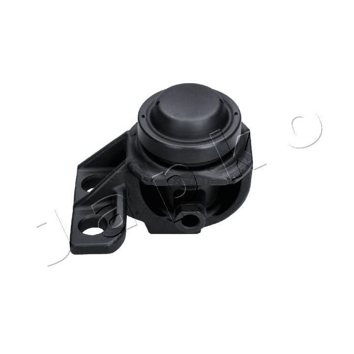 Variklio montavimas JAPKO GOJK179