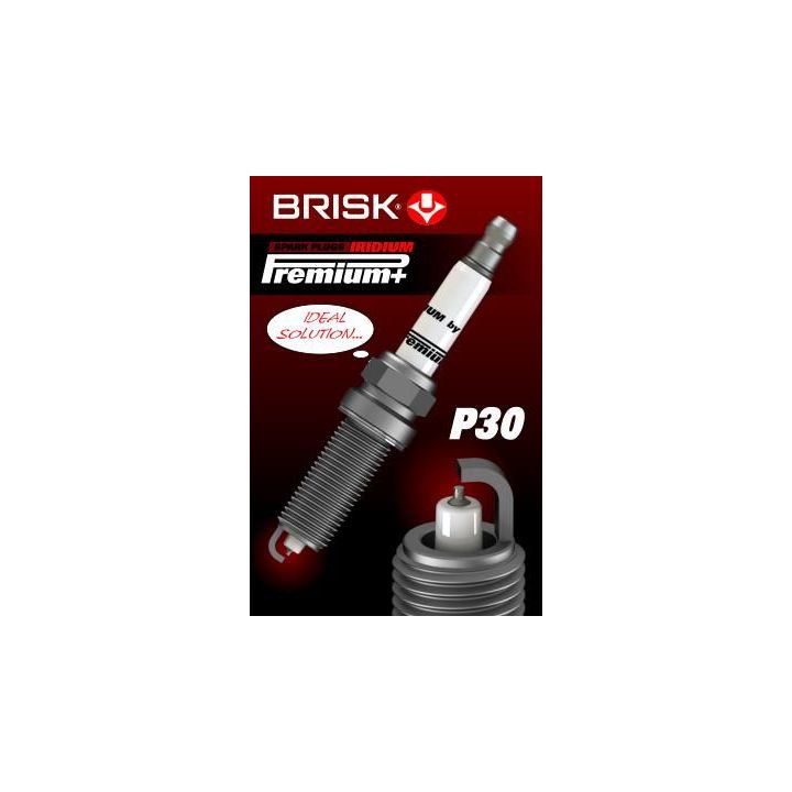 Uždegimo žvakė BRISK 1974