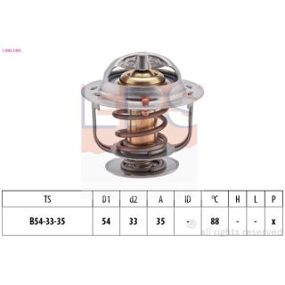 Termostatas, aušinimo skystis EPS 1.880.248S