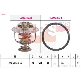 Termostatas, aušinimo skystis EPS 1.880.403