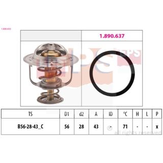 Termostatas, aušinimo skystis EPS 1.880.650