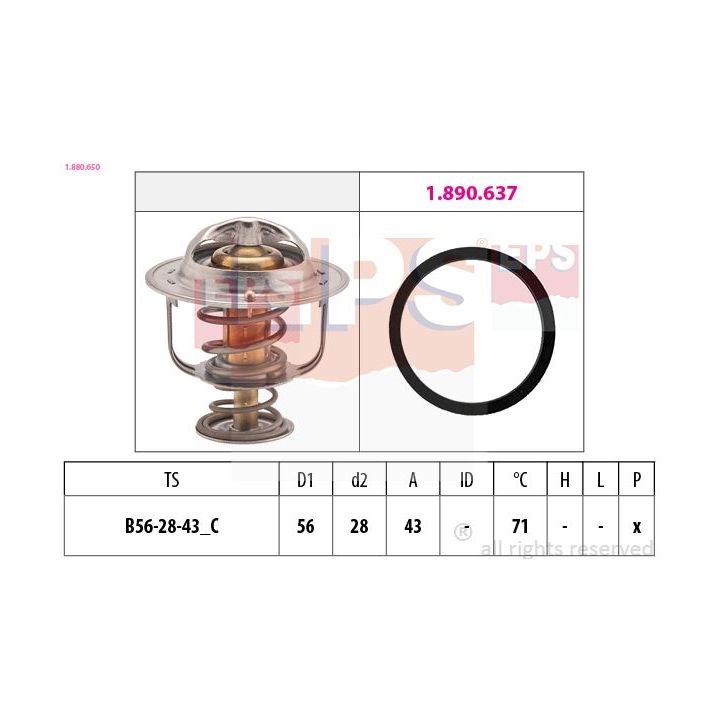 Termostatas, aušinimo skystis EPS 1.880.650