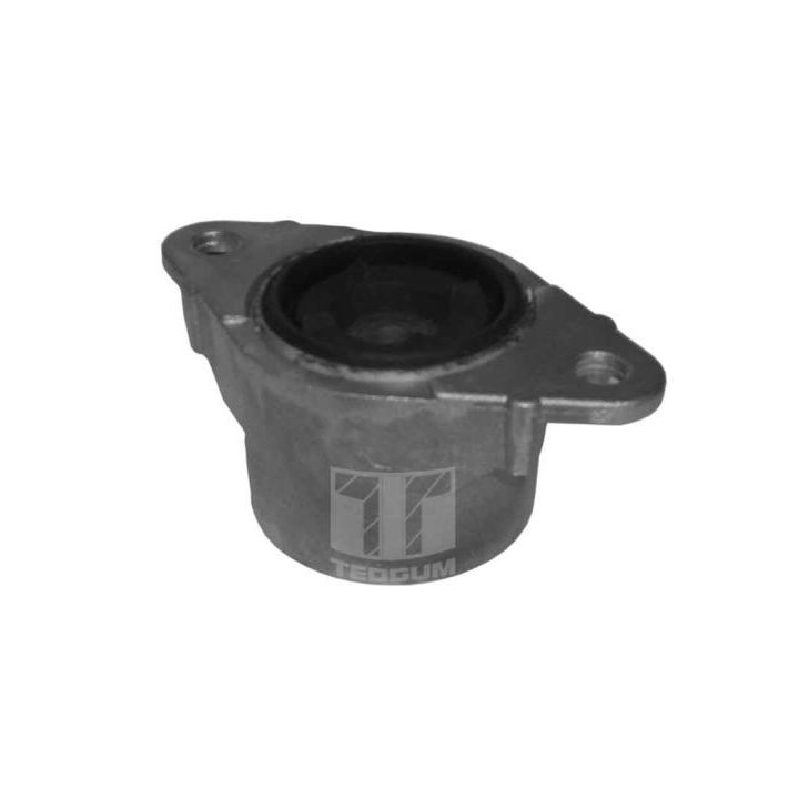 Pakabos statramsčio atraminis guolis TEDGUM 00222822