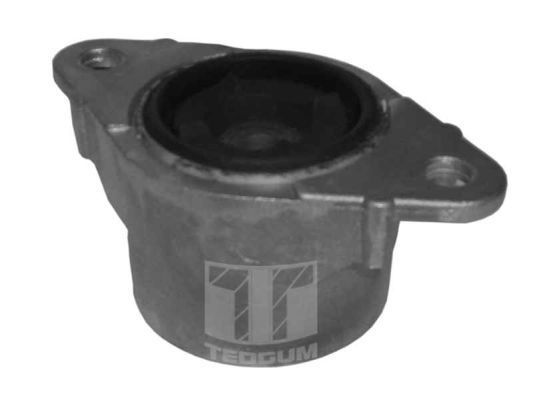 Pakabos statramsčio atraminis guolis TEDGUM 00222822