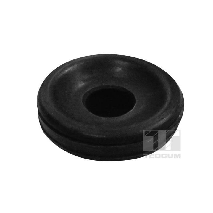 Pakabos statramsčio atraminis guolis TEDGUM 00267216