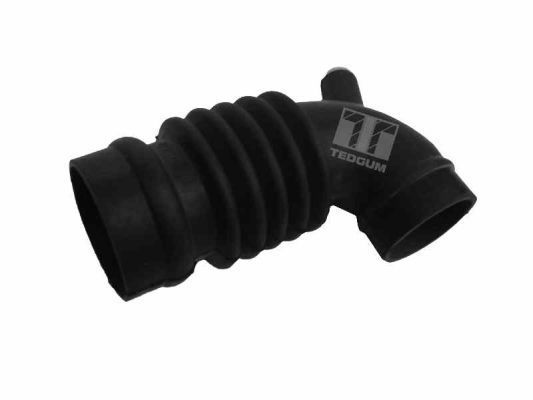 įsiurbimo vamzdis, oro filtras TEDGUM 00212979
