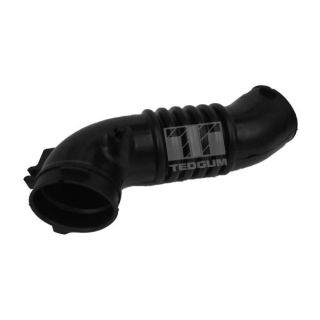 įsiurbimo vamzdis, oro filtras TEDGUM 00392218