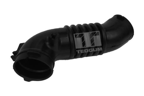 įsiurbimo vamzdis, oro filtras TEDGUM 00392218