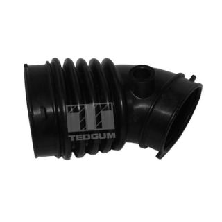 įsiurbimo vamzdis, oro filtras TEDGUM 00392460