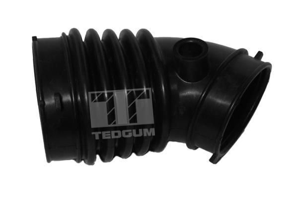 įsiurbimo vamzdis, oro filtras TEDGUM 00392460