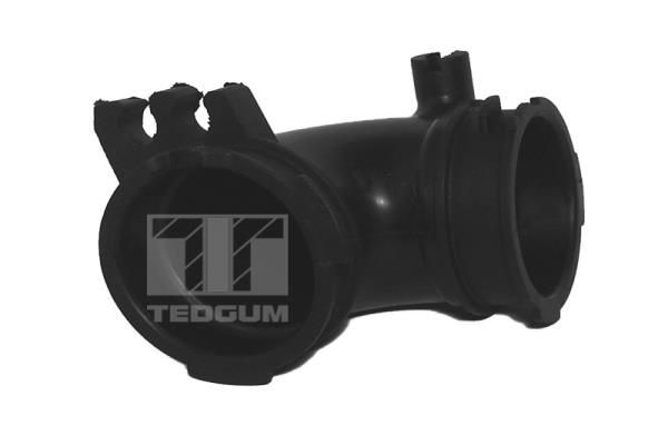 įsiurbimo vamzdis, oro filtras TEDGUM 00392462