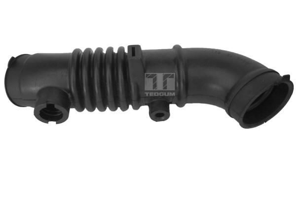 įsiurbimo vamzdis, oro filtras TEDGUM 00392516